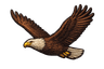 Western Headwaters eagle